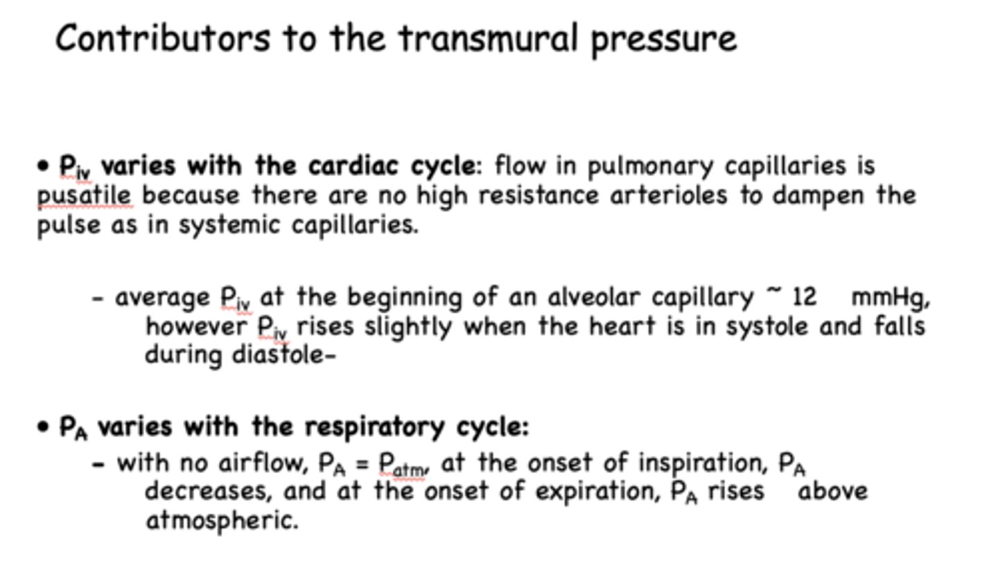 <p>atmospheric pressure</p>
