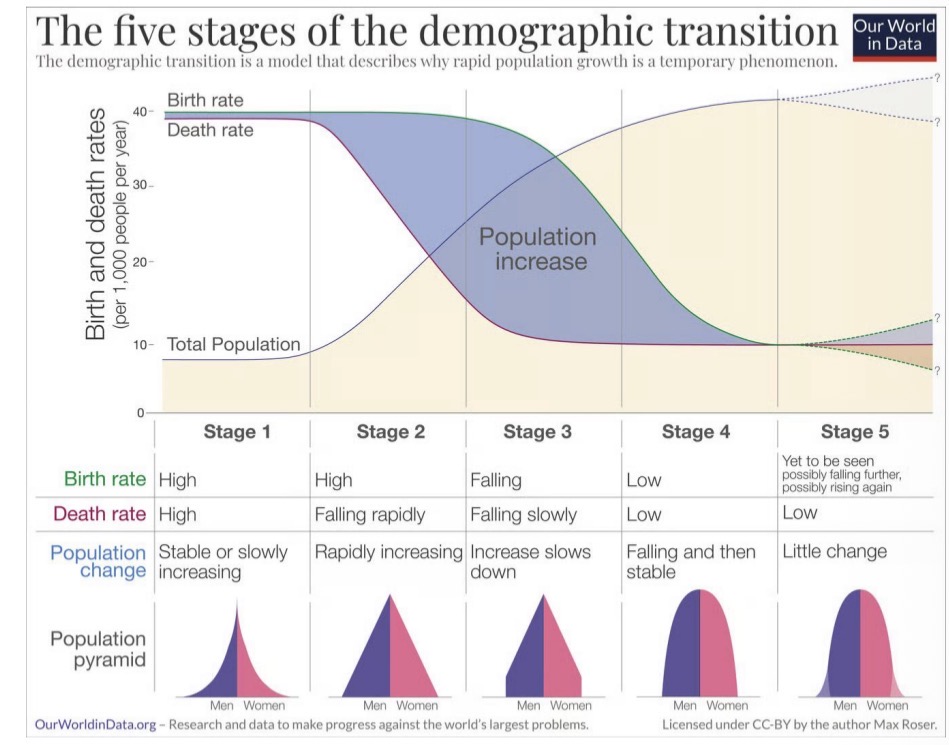 <p>The Demographic Transition Model</p>