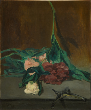 <p>nature mort </p>
