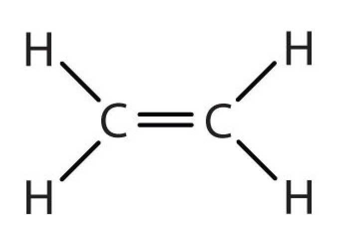 <p>CnH2n</p>