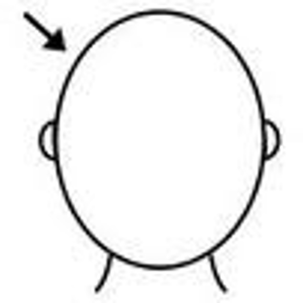 <p>head</p>