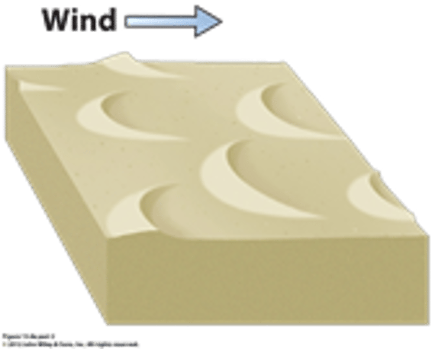 <p>•Sikkelvormige duinen</p><p>•Gevormd door een dominante windrichting</p><p>•Voorbeeld: Gobiwoestijn (Mongolië)</p><p>Wind waait aan de convexe kant.</p><p>De concave kant is leeg door zand lawines</p>