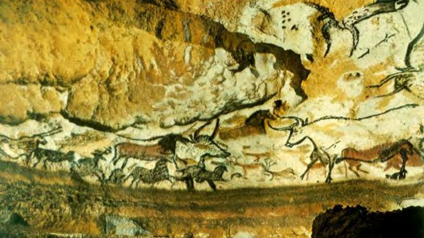 <p>Characteristics: </p>