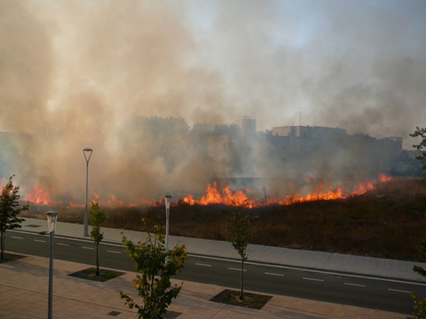 <p>el incendio</p>