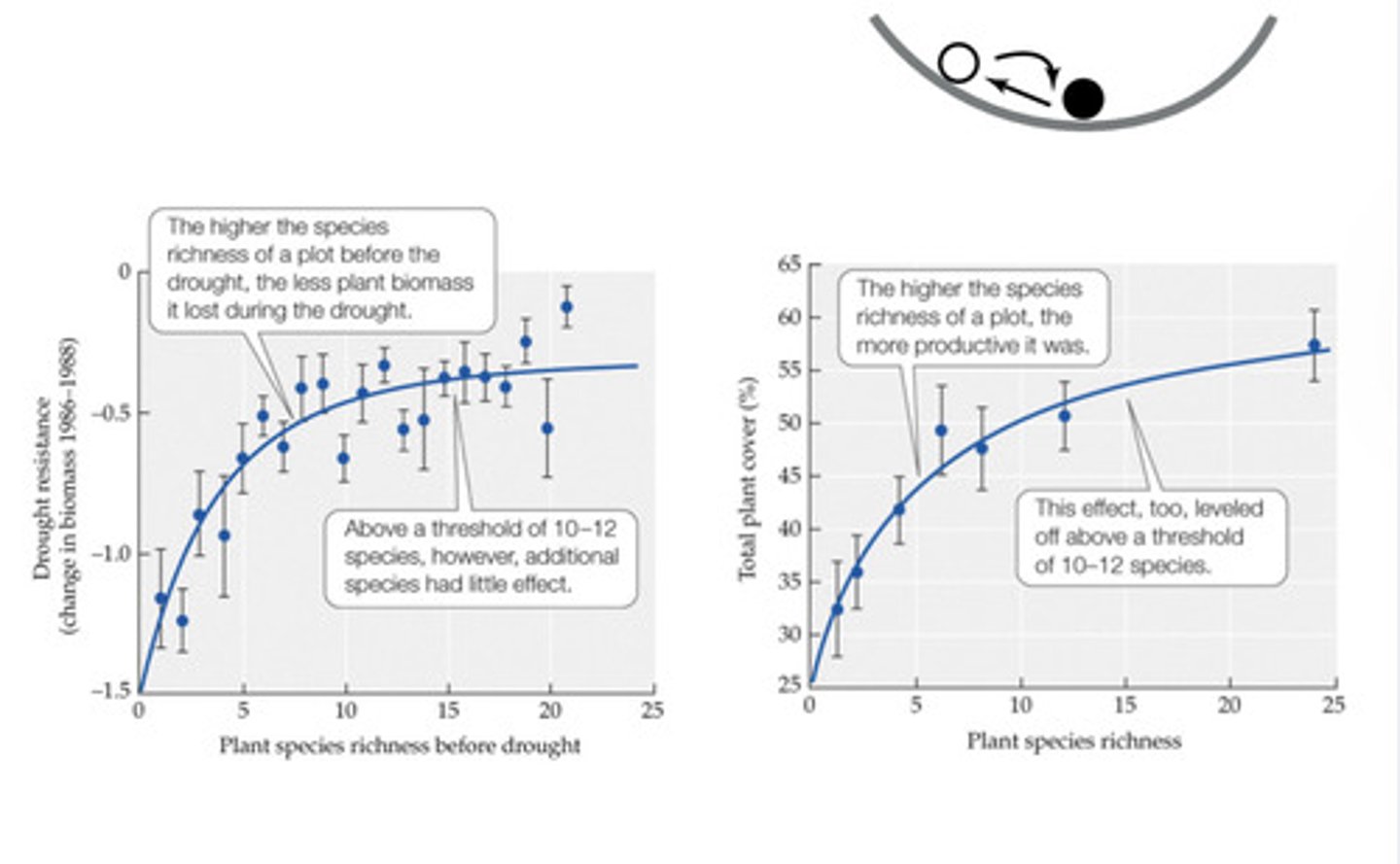 <p>community stability and species diversity positively correlated, more diverse communities tend to withstand imbalance better</p>