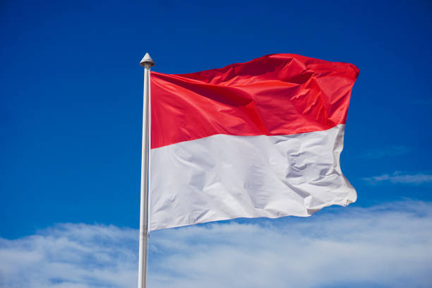 <p>Indonesio/a</p>