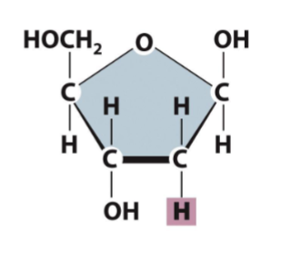 <p>which sugar ??? ಠಿ_ಠ</p>
