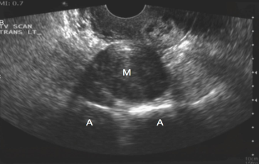 This image displays a