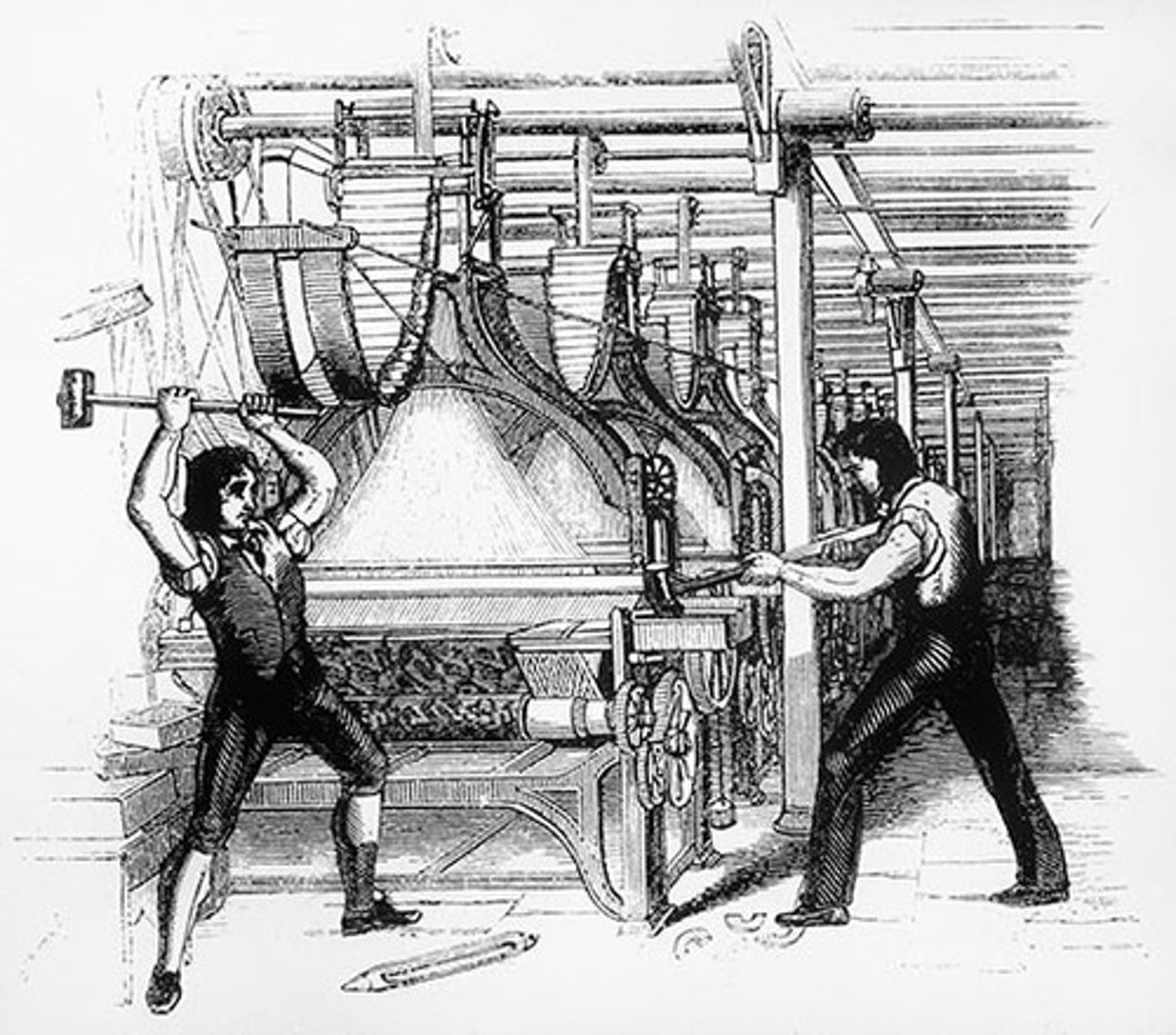 <p>a group of workers in England who, from 1811-1816, organized themselves to destroy machinery because they believed the machinery created unemployment</p>