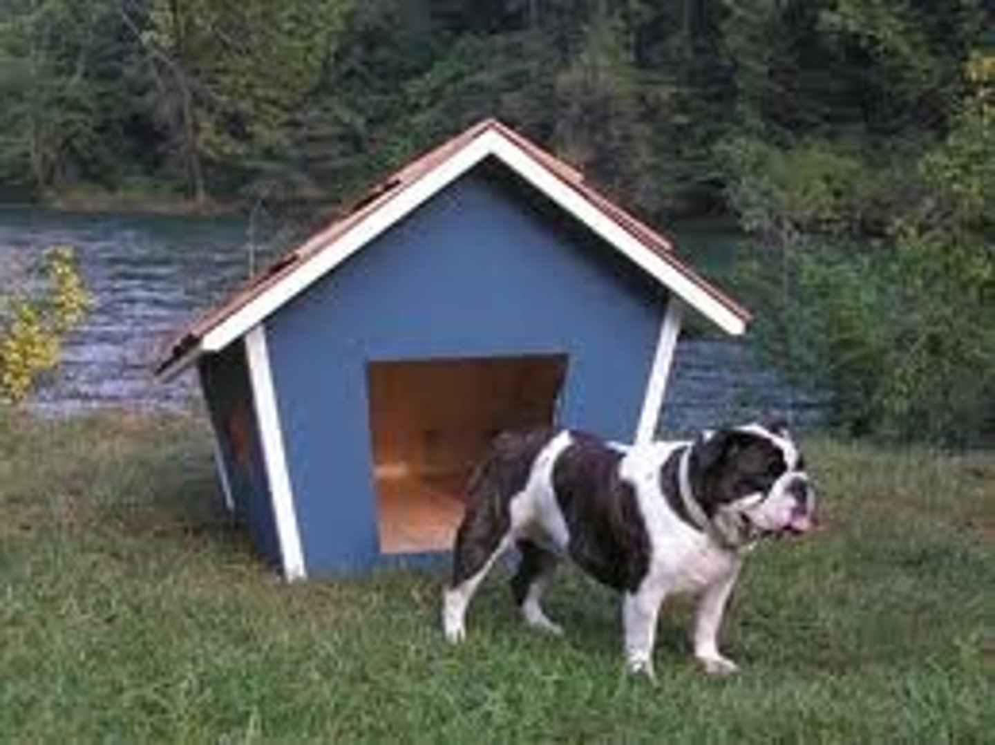 <p>Outside</p>