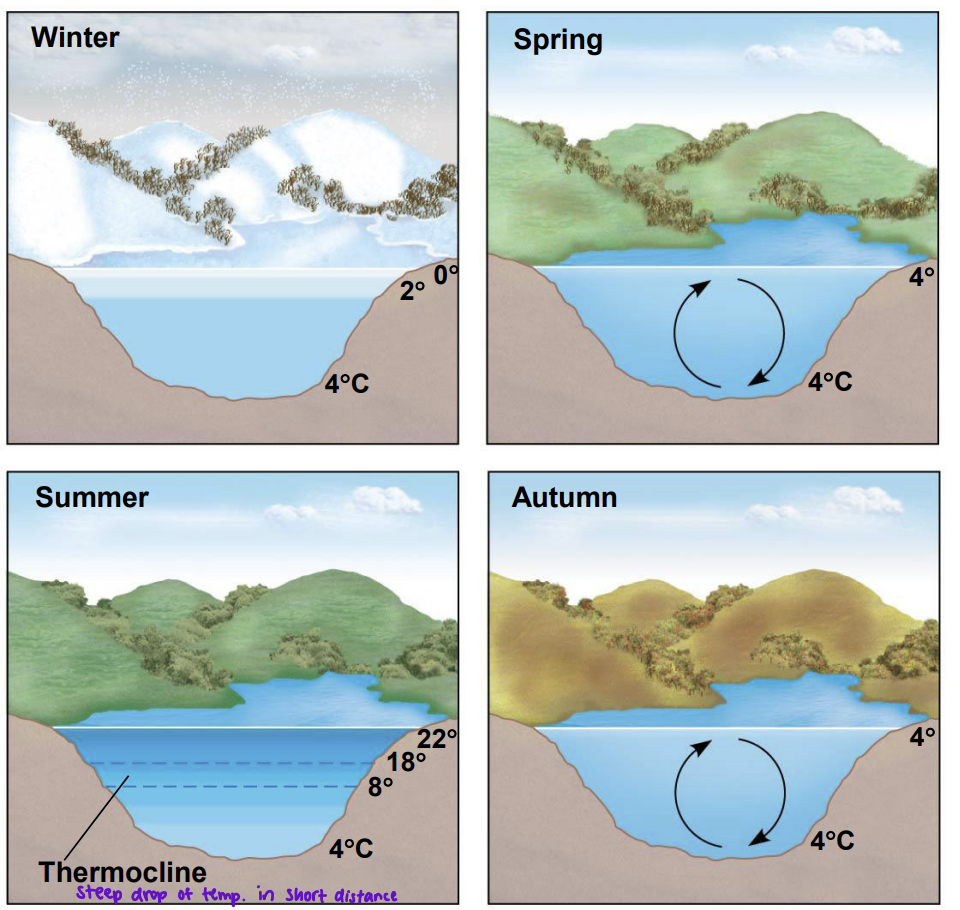 oxygenated water from the  surface with nutrient-rich water from the bottom 