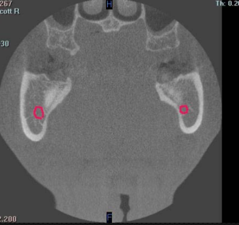 <p>identify the structure </p>