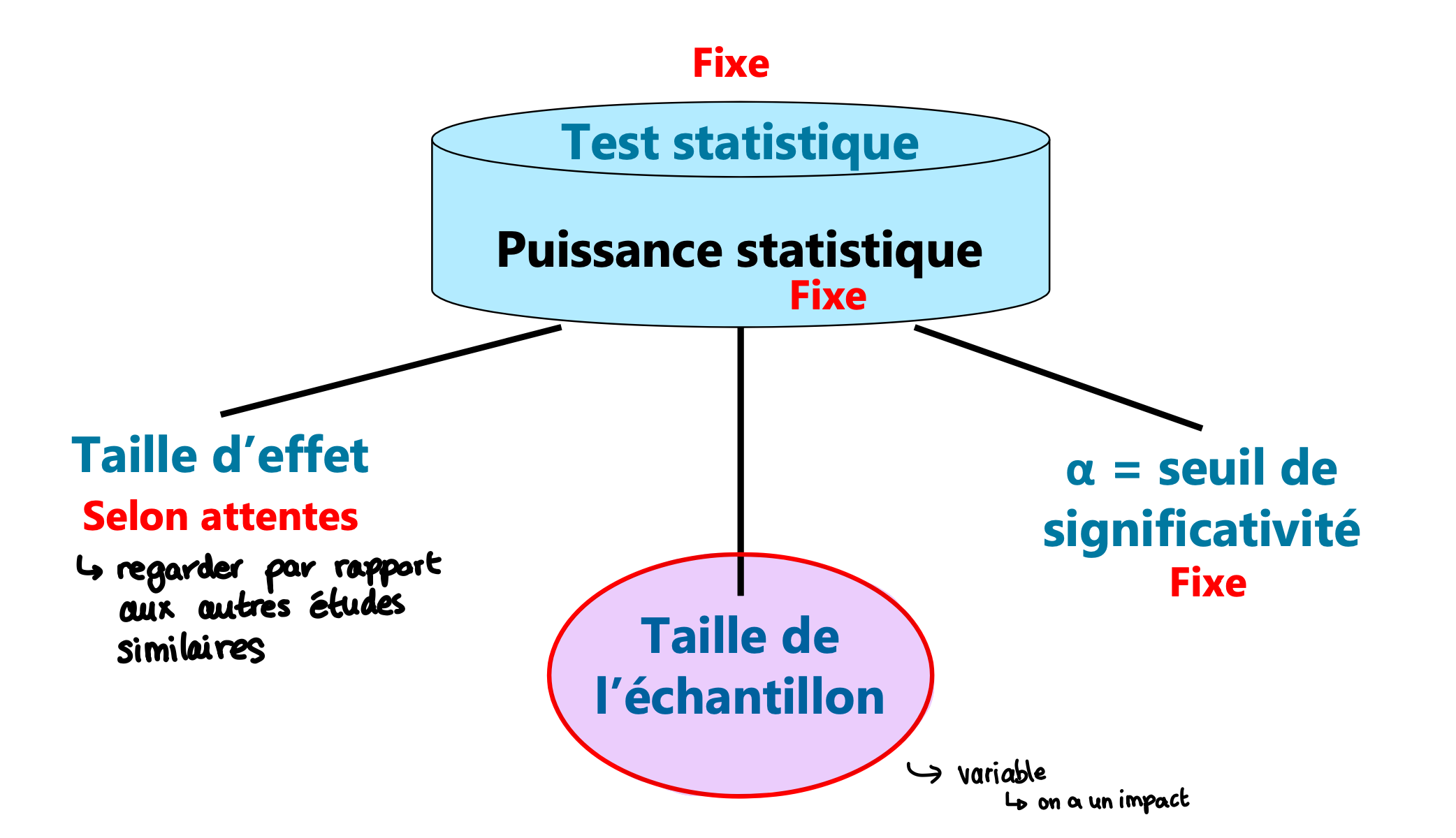 <p>Pour s'assurer que les résultats des tests statistiques soient fiables et représentatifs de la population étudiée. </p>