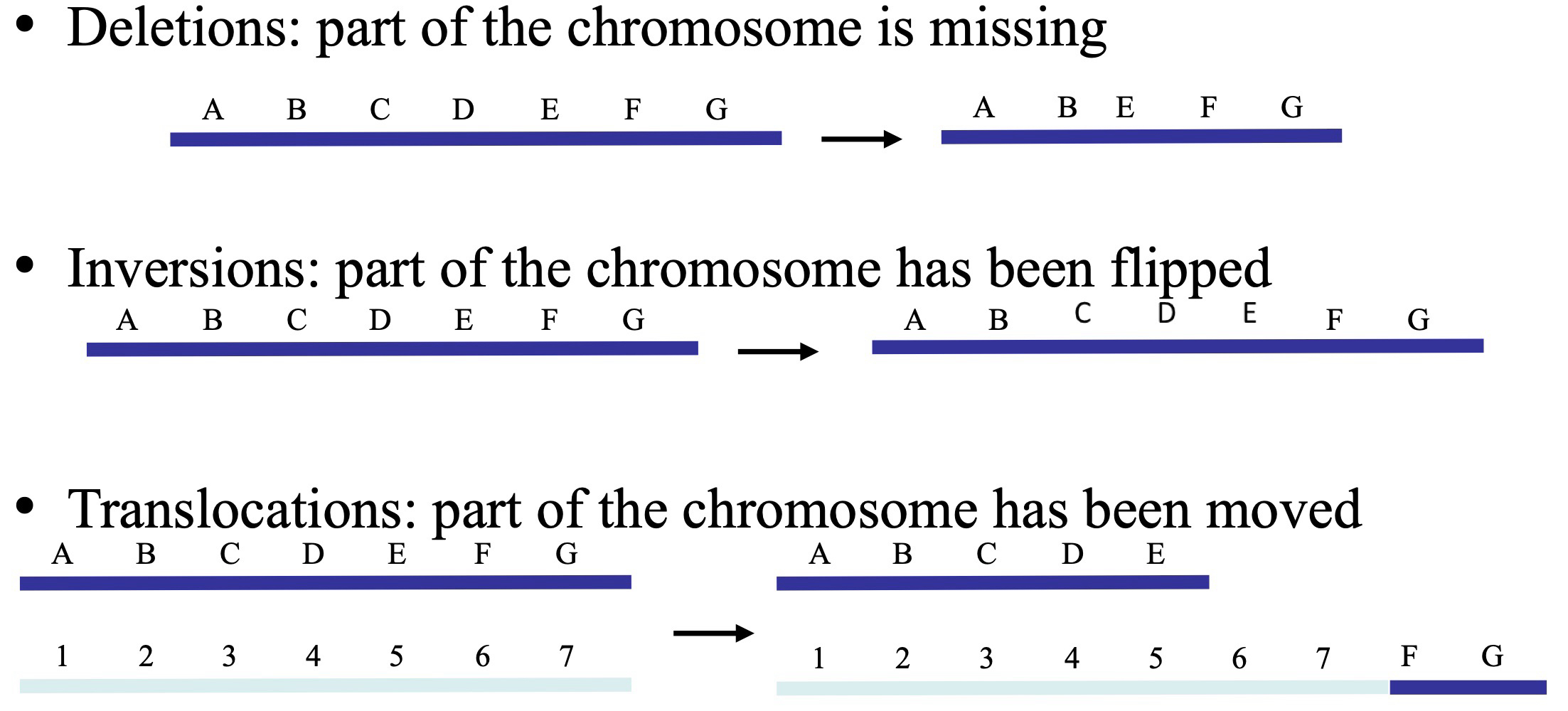 <p>deletions - part of the chromosome is missing </p><p>inversions - part of the chromosome has been flipped </p><p>translocation- part of chromosome has been moved </p>