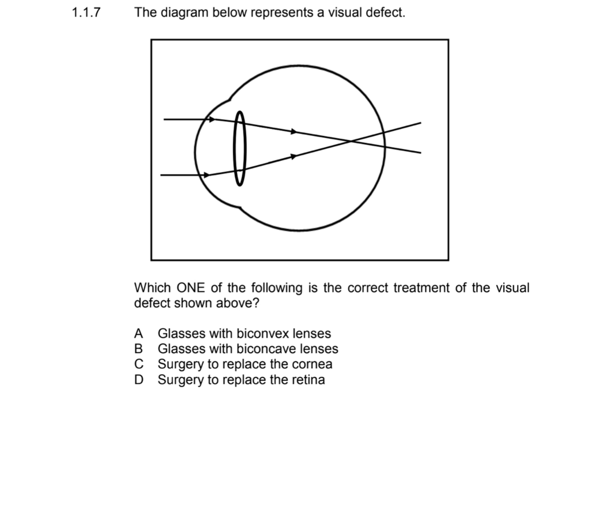 <p>answer </p>