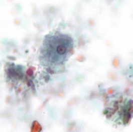 <p>Professor: Dr. Glena Fe A. Yapchulay-Alcabasa</p>