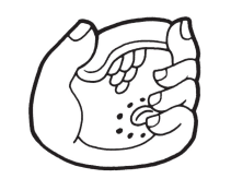 term image