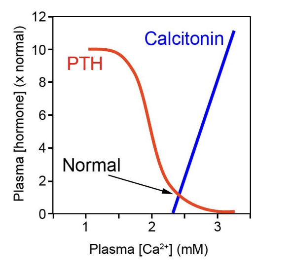 <ul><li><p>causes increased<strong> calcitonin secretion</strong></p><ul><li><p>might help as an anticipatory response to the calcium</p></li><li><p>that will be absorbed as part of the meal</p></li></ul></li></ul><p><em>but this is controversial as the concentrations needed are not physioligcally possible</em></p><p></p>