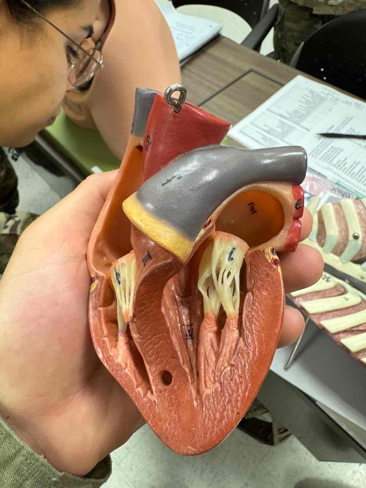 <p>57 IV</p>