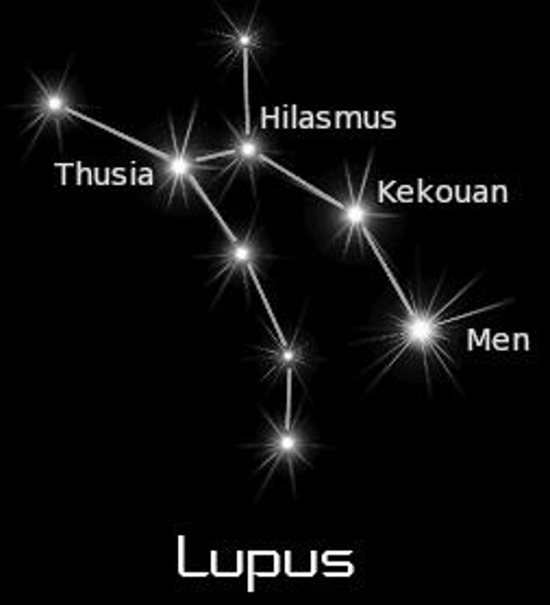 <p>wolf / brightest star: Alpha Lupi (α Lup)</p>