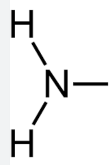 <ul><li><p>Hydrophilic</p></li><li><p>Basic</p></li></ul>