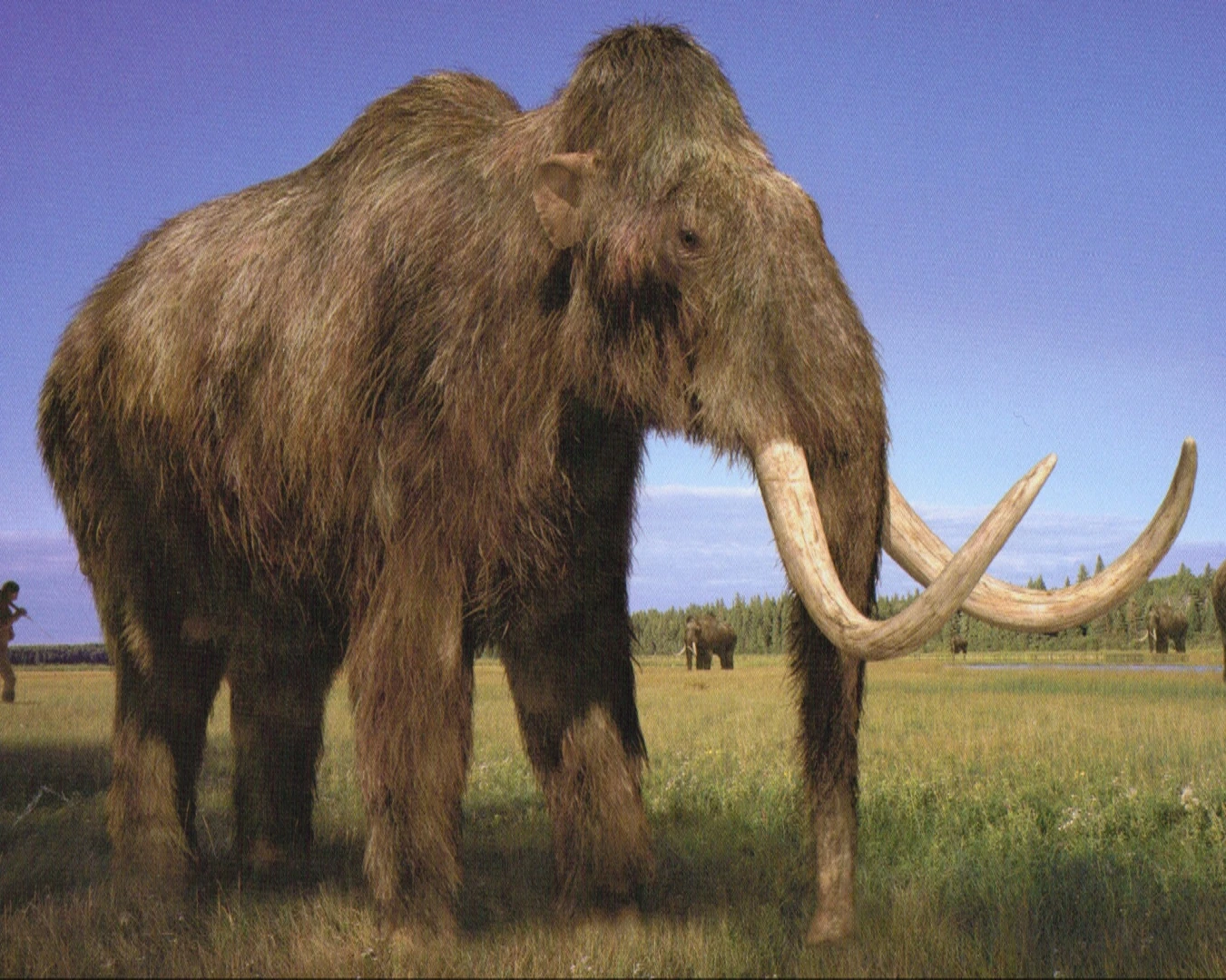 The process of reviving extinct species through genetic methods.