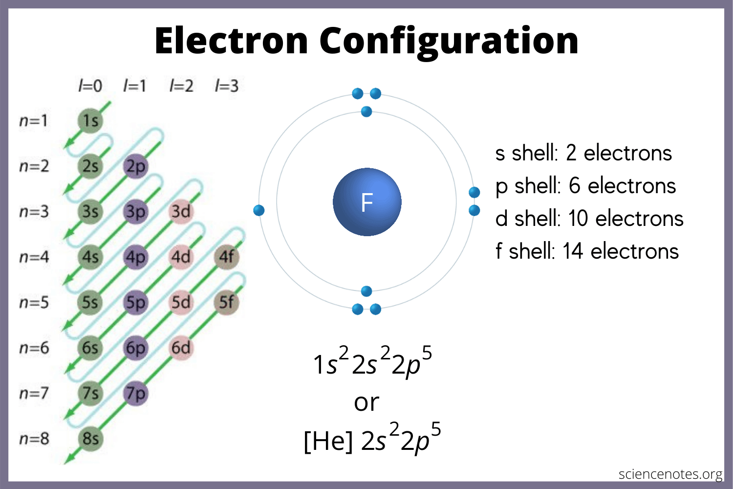 <p>electrons are distributed in the electron cloud into principal energy levels (1, 2, 3..), sublevels (s, p, d, f), orbitals (s has 1, p has 3, d has 5, f has 7) and spin (2 electrons allowed per orbital)</p>