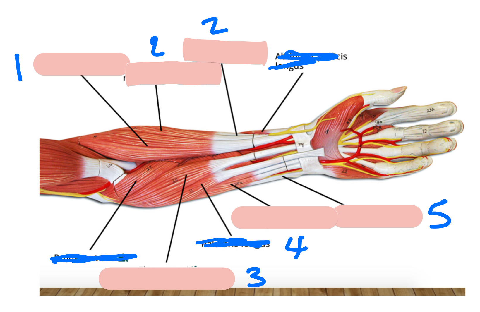 <p>1</p>