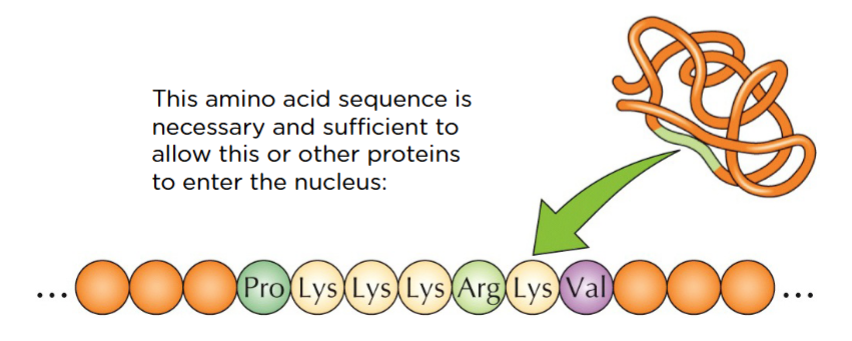 necessary - have to have
sufficient - that is all it takes