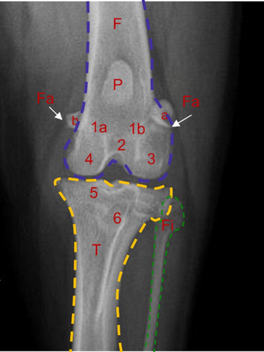 <p>What is number 3?</p>