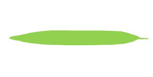 <p>leaf shape?</p>