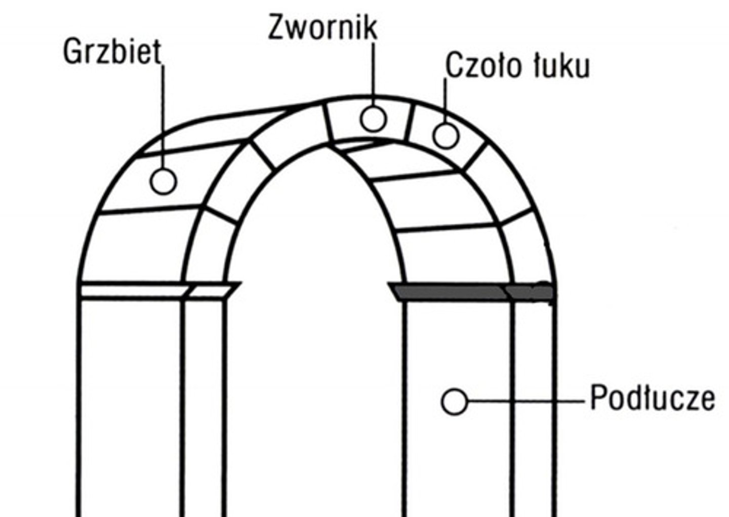 <p>płyta lub blok kamienny stanowiący przejście między głowicą podpory a dźwiganym przez nią elementem architektonicznym, najczęściej nasadą sklepienia lub łuku arkady</p>