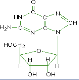 <p>What macromolecule is this?</p>