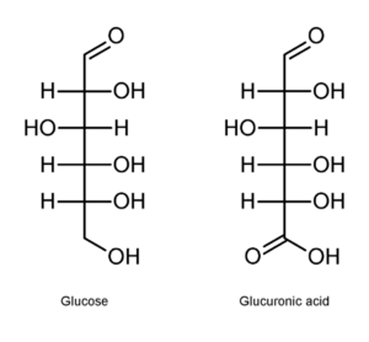 <p>Uronic acids</p>