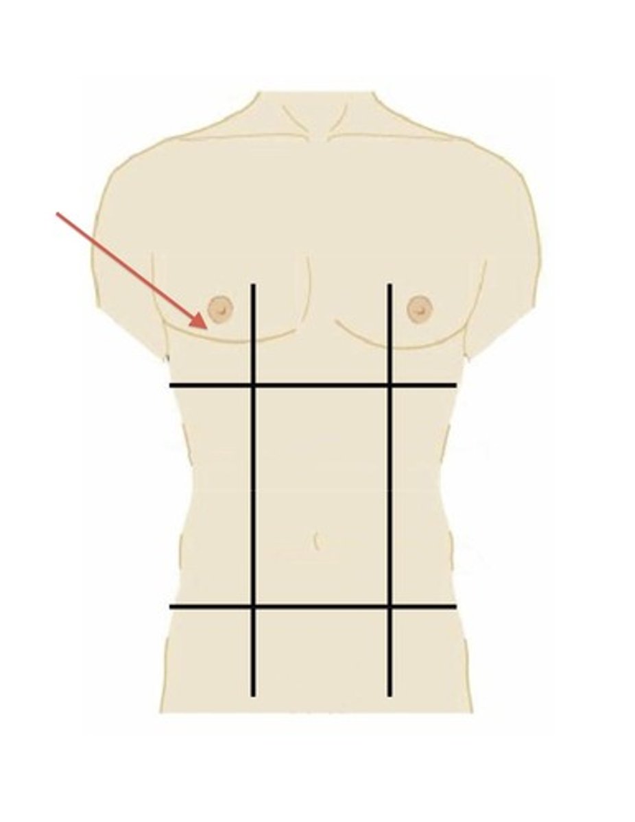 <p>right upper region below the cartilage of the ribs that extend over the abdomen</p>
