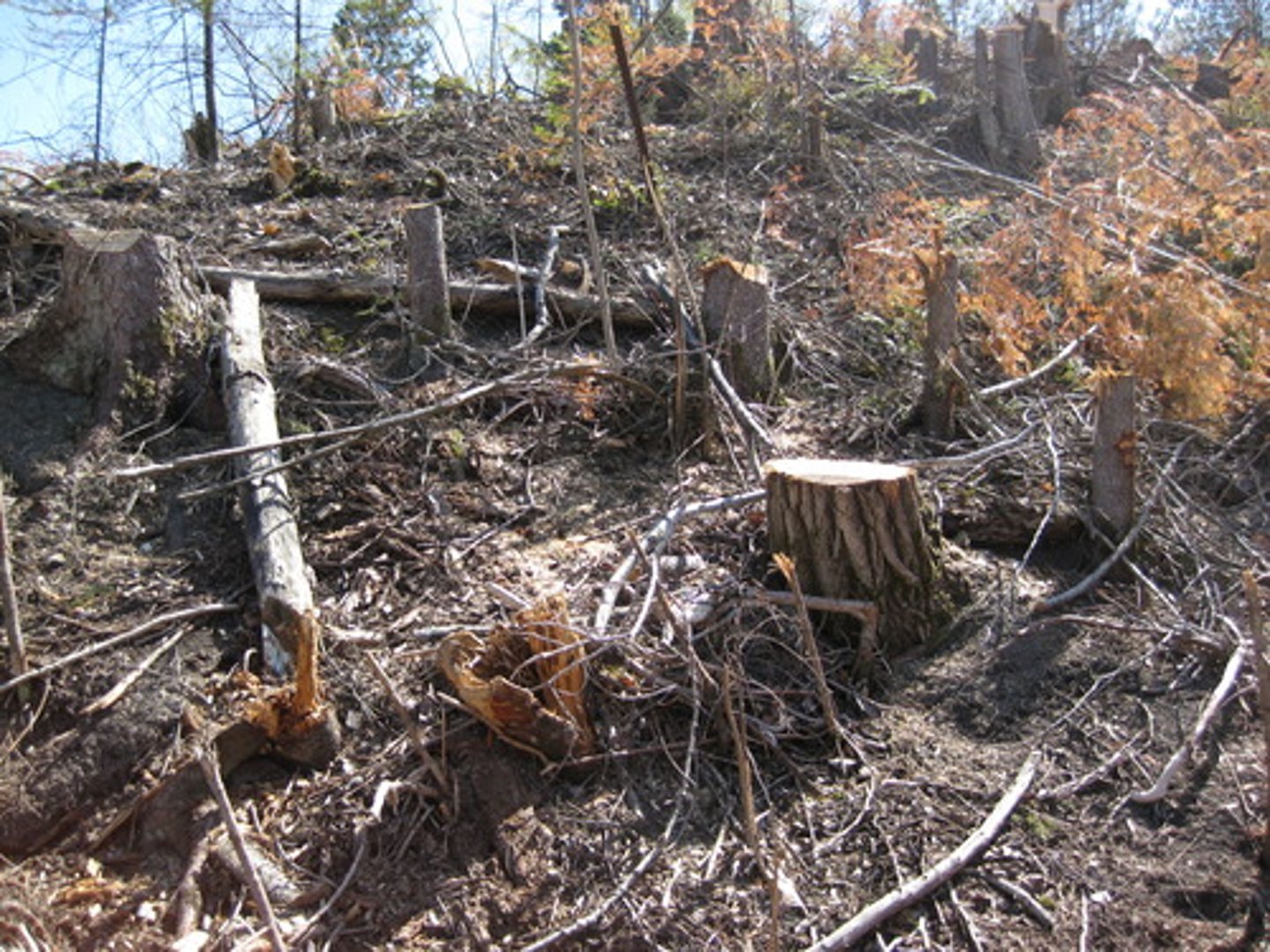 <p>Depletion of resources</p>