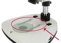 <p>Holds the slide in place on the stage to prevent movement during observation. </p>