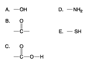 <p>Which functional groups help form peptide bond between amino acids? <strong>select two</strong></p>