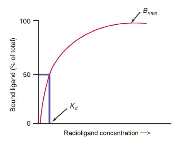 <p>how is the total amount of binding expressed?</p>