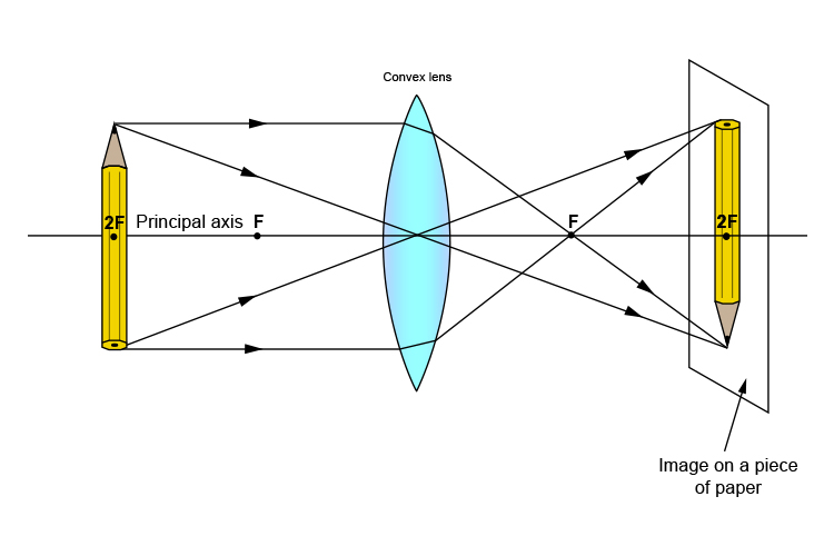 <ul><li><p>The line which passes through the middle of the thin converging lens at a right angle to it</p></li></ul><p></p>
