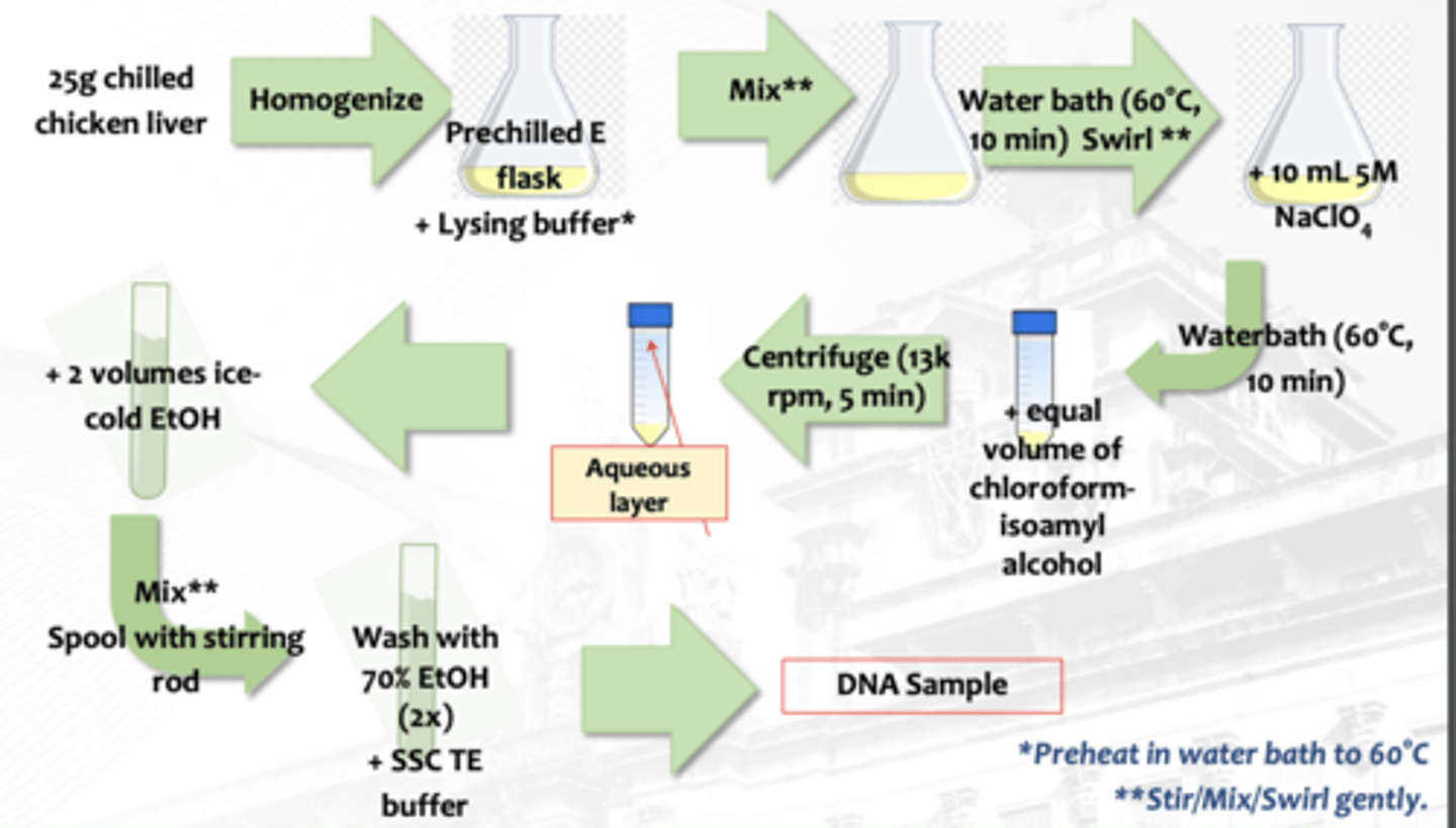 <p>What isolation is this?</p>