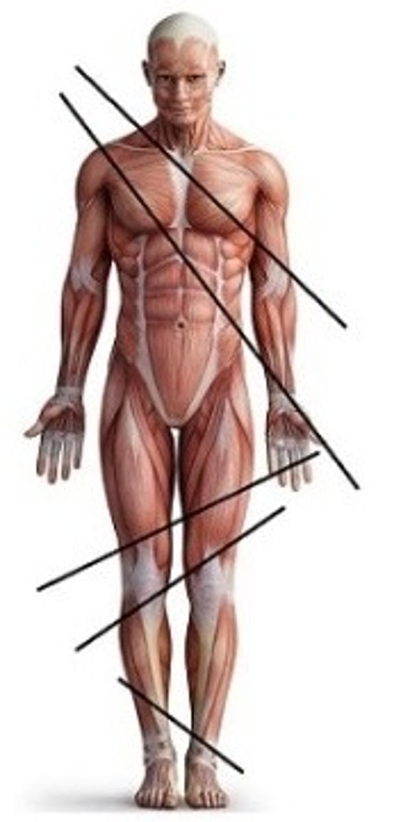 <p>Oblique plane (not vertical or horizontal, not parallel, "odd angles")</p>