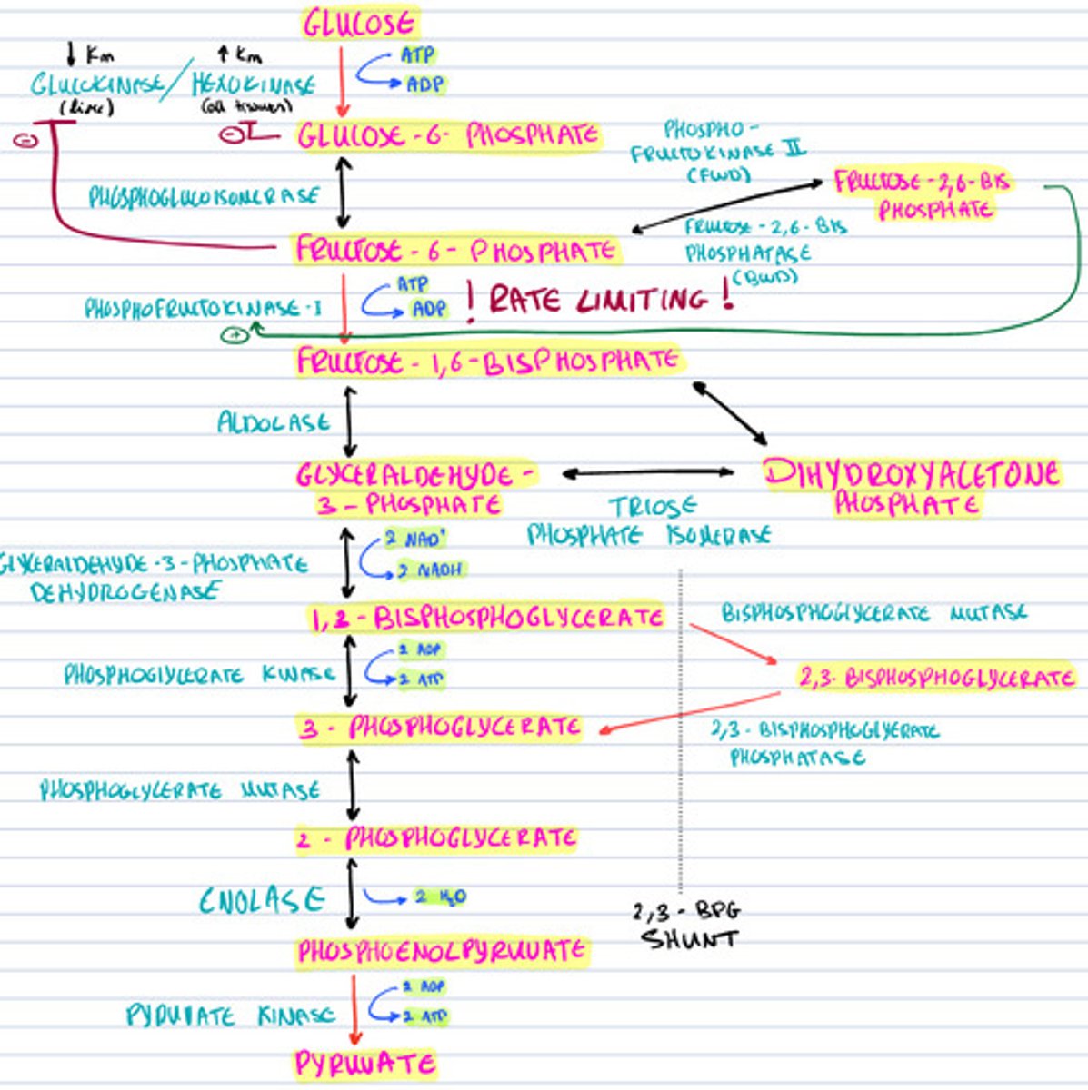 knowt flashcard image