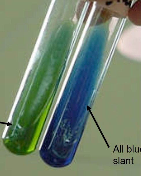 <p>What is the name of this test?</p>