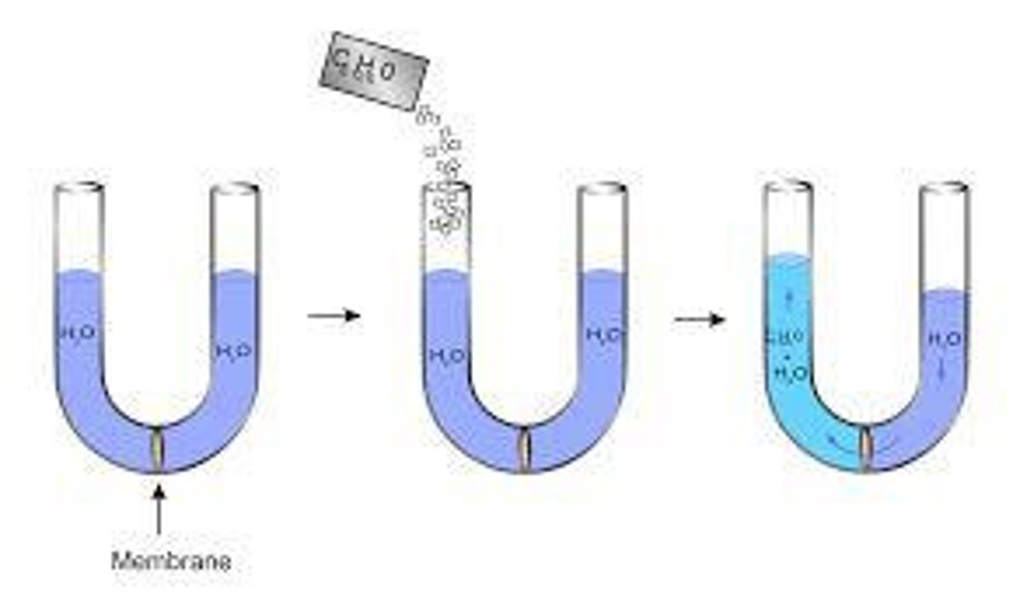 <p>The diffusion of water across a selectively permeable membrane</p>