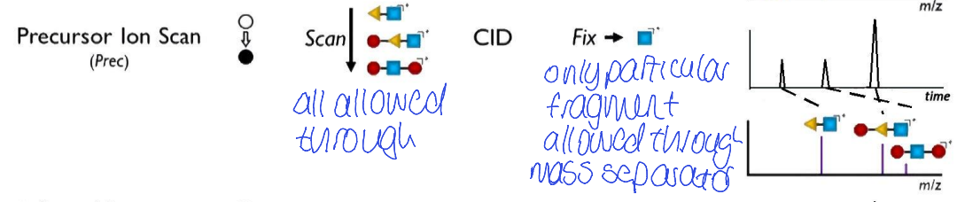 <p>Q1 - all allowed through</p><p>collision induced dissociation for q2</p><p>only particular fragment allowed through mass separator for Q3</p><ul><li><p>chromatogram - peaks due to all compounds giving product ion</p></li><li><p>all precursor ions with same product ion </p></li></ul><p></p>