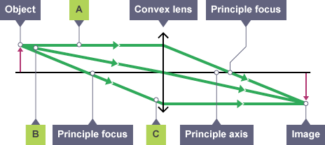 <p>the middle ray won`t refract as it goes through axis </p>