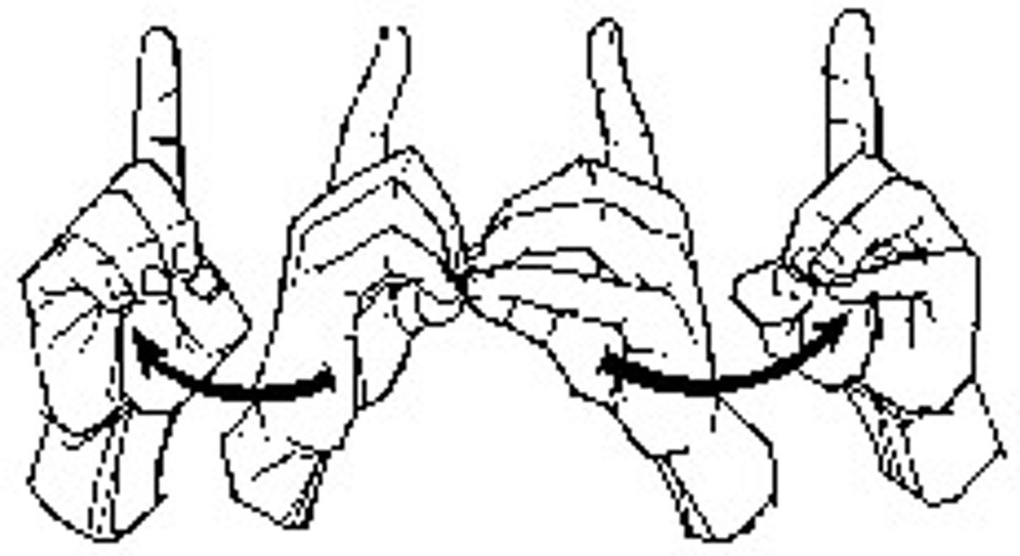 <p>D handshapes begin with fingers together, move apart and circle away from each other.</p>