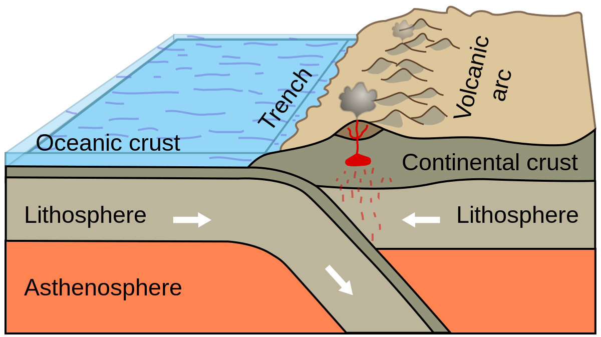 <p>continental-oceanic convergent boundary</p>