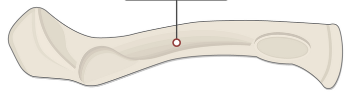 <p>What is the line pointing to?</p>